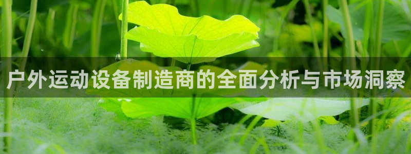 意昂体育4平台注册：户外运动设备制造商的全面分析与市