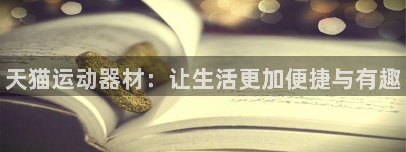 意昂4新能源：天猫运动器材：让生活更加便捷与有趣
