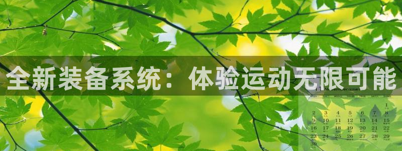 意昂4集团官网网址：全新装备系统：体验运动无限可能