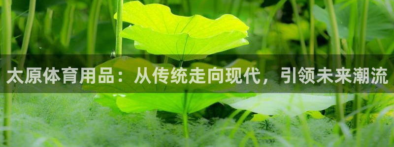 意昂体育4平台注册要钱吗安全吗：太原体育用品：从传统走向现代