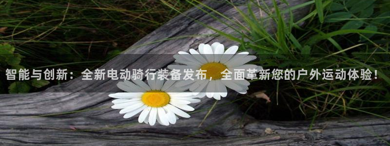 意昂4娱乐首页网站大全：智能与创新：全新电动骑行装备发布，全