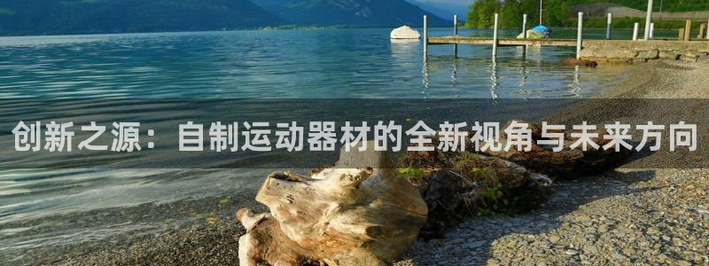 意昂体育4平台注册要钱吗安全吗：创新之源：自制运动器