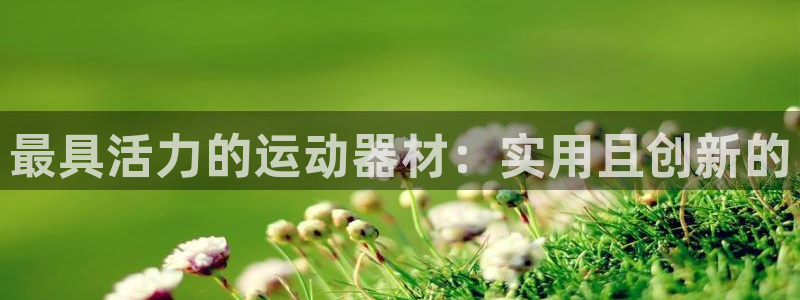 意昂平台体育
