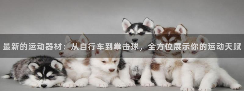 意昂体育4招商电话是多少啊