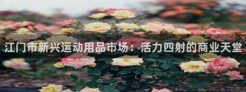 意昂4科技