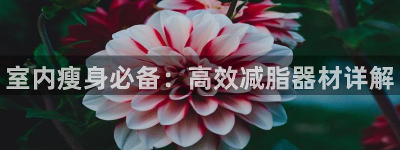 意昂4官方