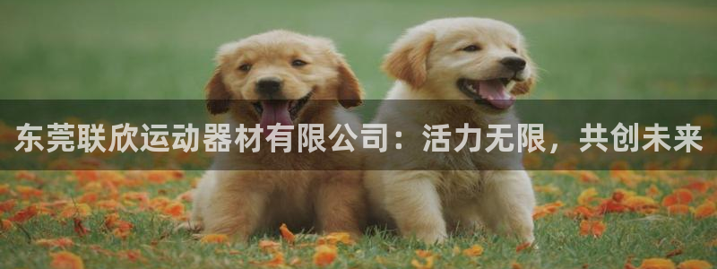 意昂体育4娱乐