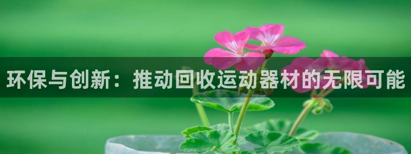意昂4娱乐是那个系列的台子