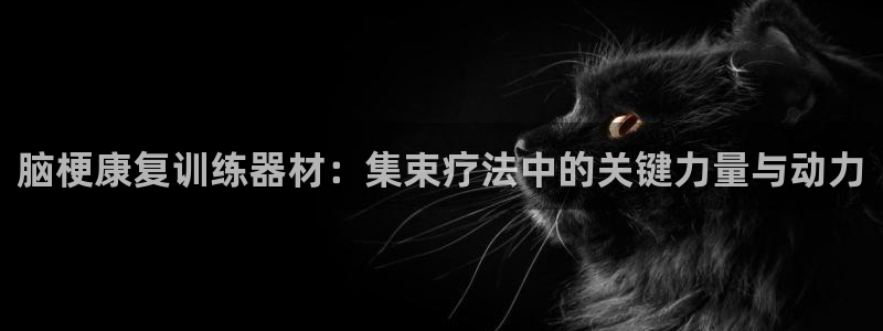 意昂体育4娱乐：脑梗康复训练器材：集束疗法中的关键力