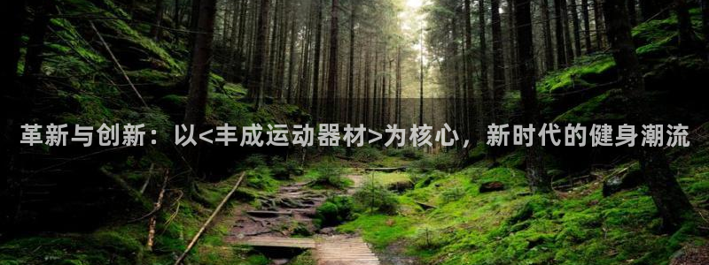 意昂4娱乐首页网站大全：革新与创新：以<丰成运动器材