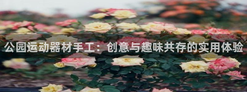 意昂体育4平台注册：公园运动器材手工：创意与趣味共存