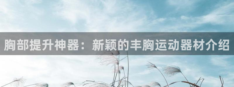 意昂4新能源