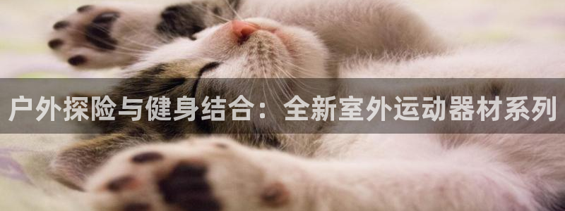 意昂体育4招商电话号码查询是多少