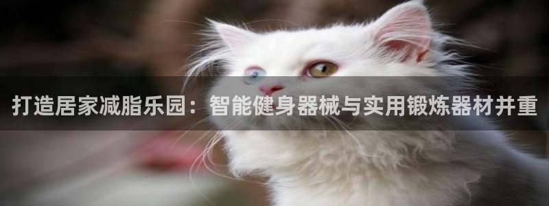 海南意昂体育4发展怎么样