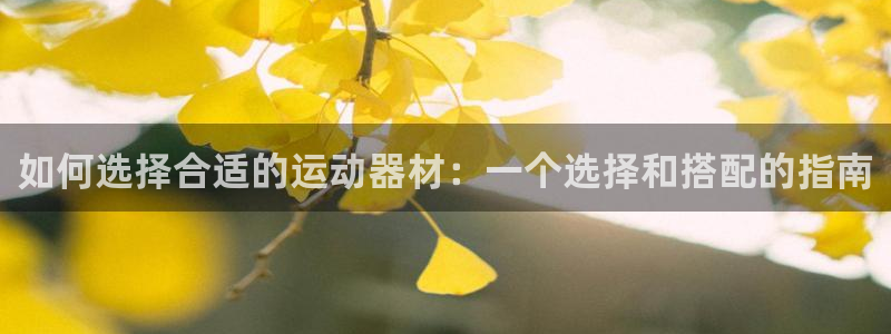 德国意昂4集团：如何选择合适的运动器材：一个选择和搭