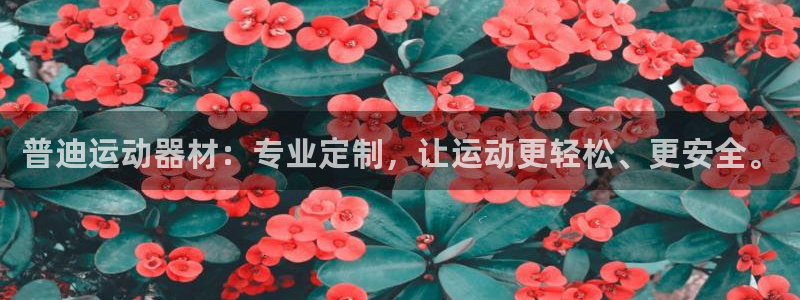意昂平台体育