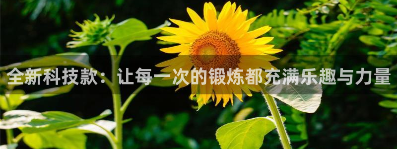 意昂体育4平台APP：全新科技款：让每一次的锻炼都充满乐趣与