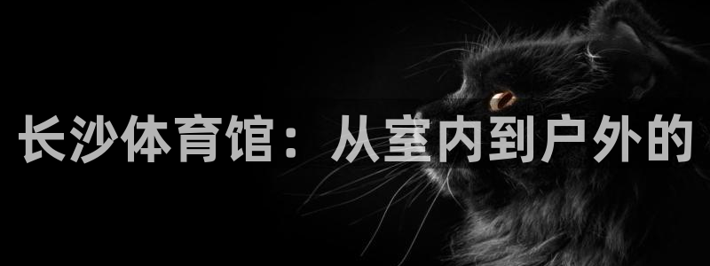 海南意昂体育4：长沙体育馆：从室内到户外的