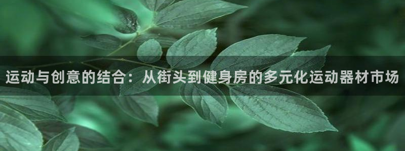 注册意昂4：运动与创意的结合：从街头到健身房的多元化运动器材