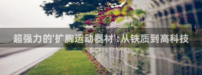 意昂4娱乐首页网站大全