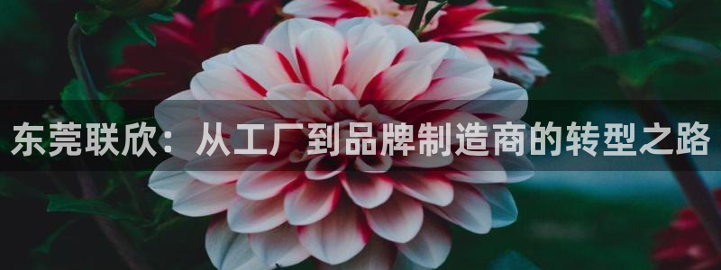 意昂体育4平台假的吗是真的吗吗：东莞联欣：从工厂到品牌制造商