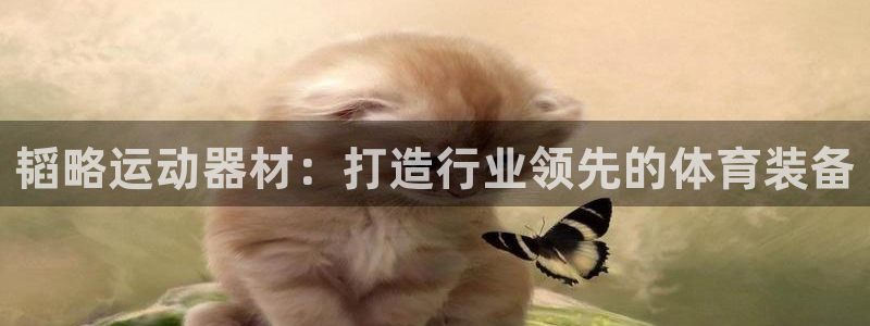 意昂体育4招商：韬略运动器材：打造行业领先的体育装备