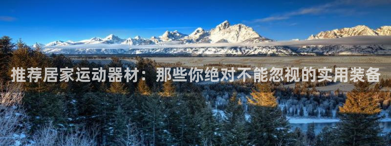 意昂4集团E.ON：推荐居家运动器材：那些你绝对不能忽视的实
