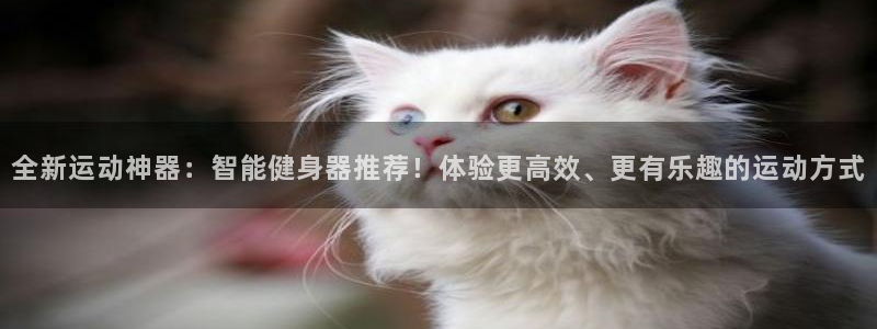 意昂体育4平台是正规平台吗知乎