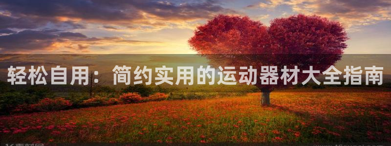 意昂体育4平台：轻松自用：简约实用的运动器材大全指南