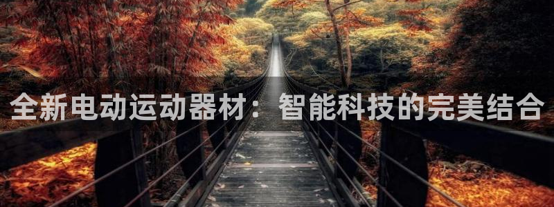 德国意昂4集团：全新电动运动器材：智能科技的完美结合
