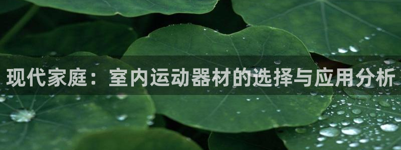 海南意昂体育4发展怎么样：现代家庭：室内运动器材的选