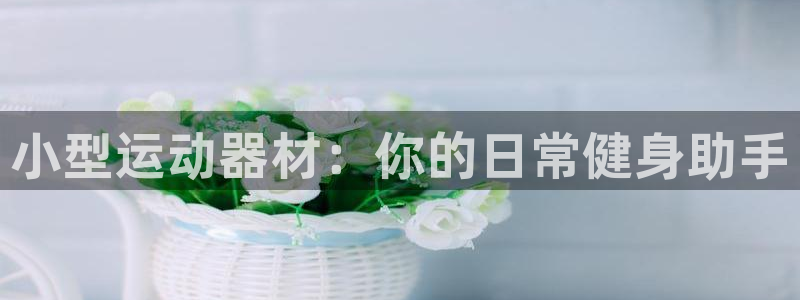 意昂4集团：小型运动器材：你的日常健身助手