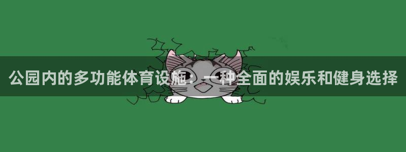 意昂4娱乐首页网站大全：公园内的多功能体育设施：一种