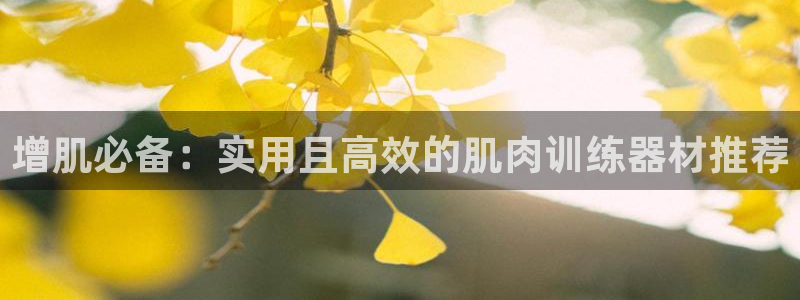 海南意昂体育4发展怎么样：增肌必备：实用且高效的肌肉