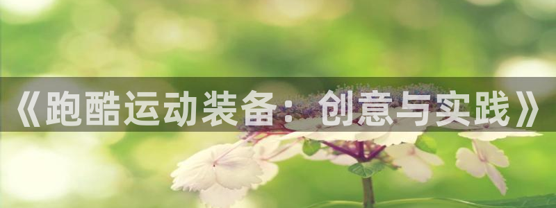 意昂集团官网：《跑酷运动装备：创意与实践》