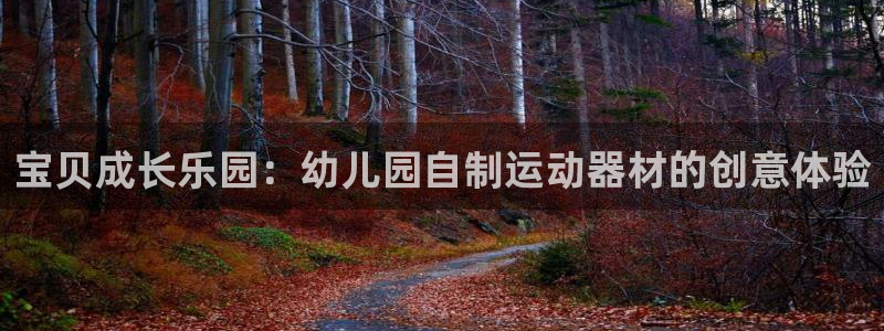 意昂平台体育：宝贝成长乐园：幼儿园自制运动器材的创意