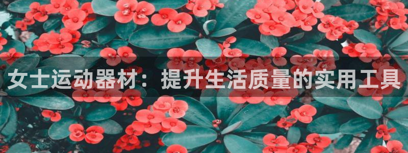 意昂体育4招商电话号码是多少啊：女士运动器材：提升生