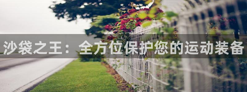 意昂体育4招商：沙袋之王：全方位保护您的运动装备