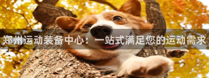 意昂体育4招商：郑州运动装备中心：一站式满足您的运动需求
