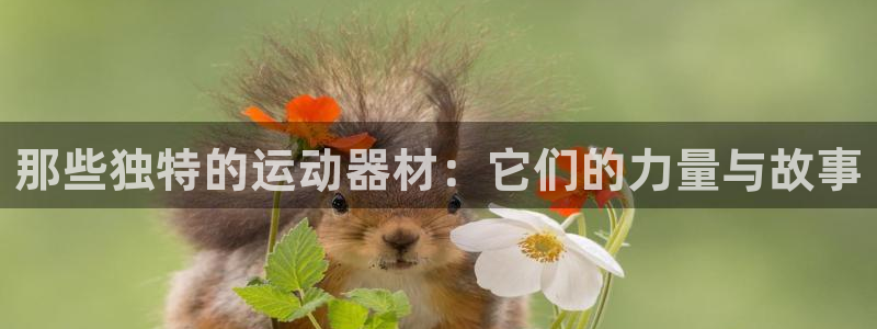 德国意昂4集团：那些独特的运动器材：它们的力量与故事