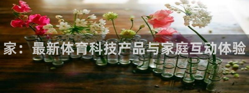 意昂体育4招商电话号码查询：家：最新体育科技产品与家庭互动体