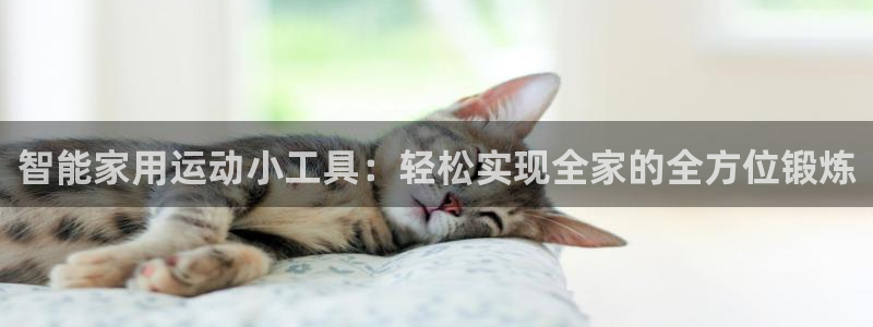 意昂4神州：智能家用运动小工具：轻松实现全家的全方位锻炼