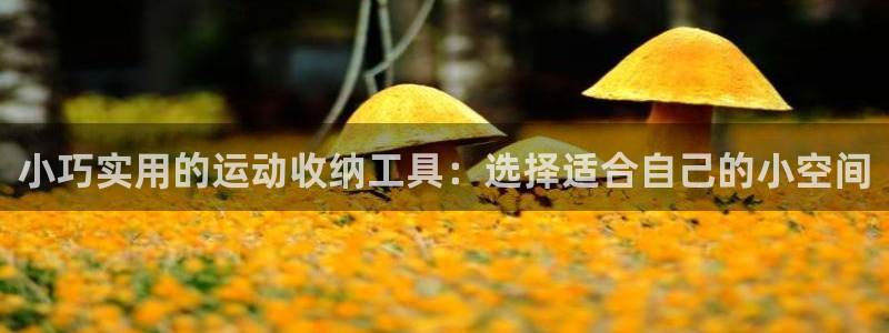 意昂体育4招商电话是多少号码：小巧实用的运动收纳工具