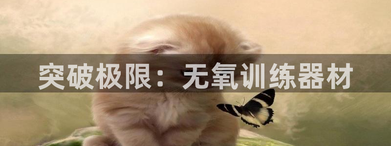 意昂4科技：突破极限：无氧训练器材