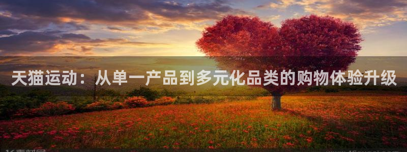 意昂4开户：天猫运动：从单一产品到多元化品类的购物体验升级