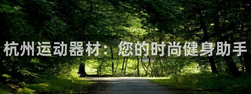 意昂4五金厂：杭州运动器材：您的时尚健身助手