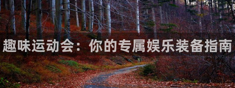 意昂4集团简介：趣味运动会：你的专属娱乐装备指南