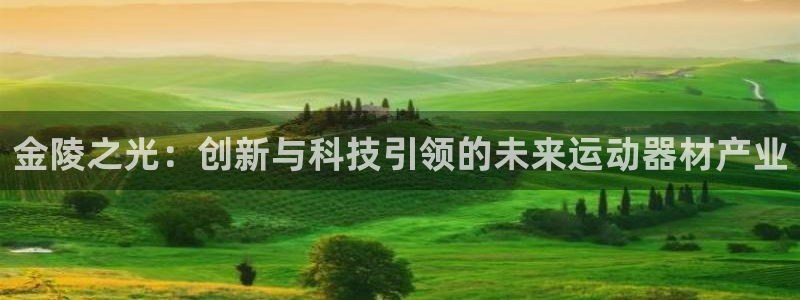 意昂体育4联系电话：金陵之光：创新与科技引领的未来运