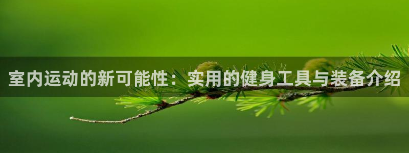 意昂4官网：室内运动的新可能性：实用的健身工具与装备