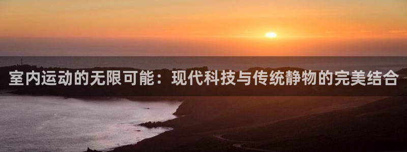意昂体育4平台APP：室内运动的无限可能：现代科技与传统静物